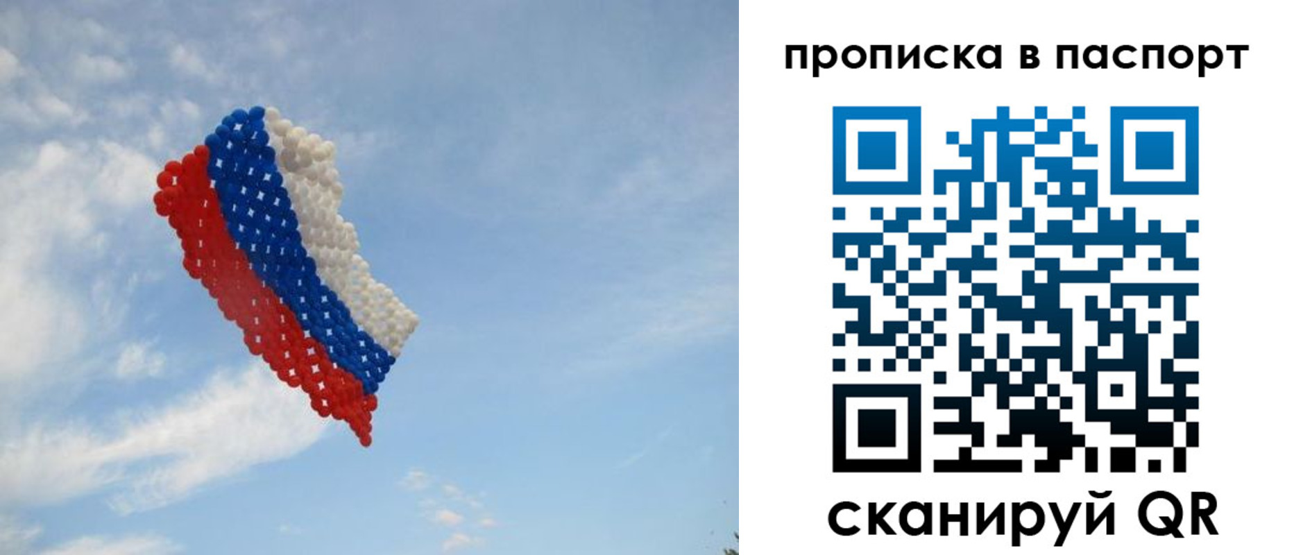 найти адрес прописки в Шебекино